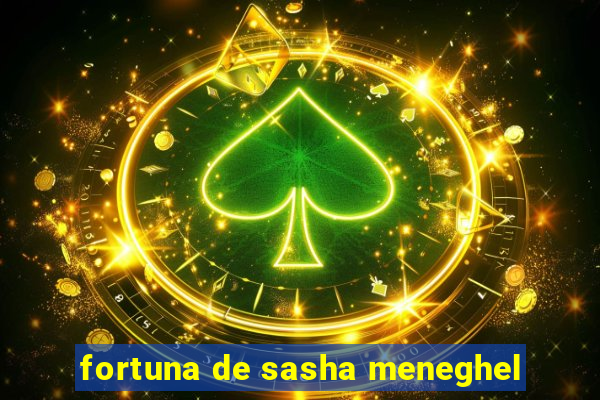 fortuna de sasha meneghel