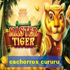 cachorros cururu