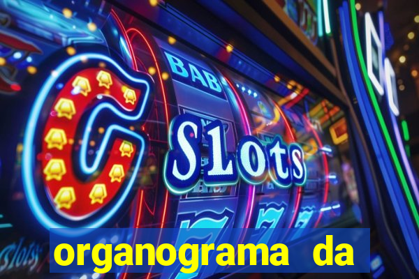 organograma da cacau show