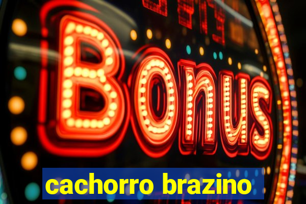 cachorro brazino