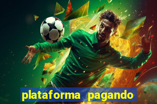 plataforma pagando no cadastro