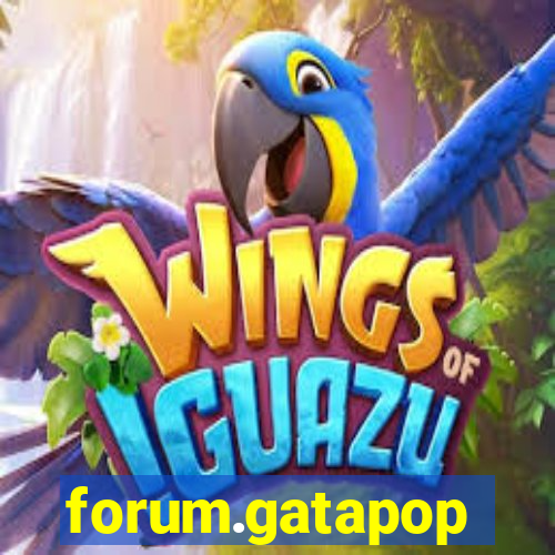 forum.gatapop